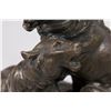 Image 3 : Richer, 2 Lions