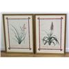Image 2 : After Pierre-Joseph Redouté, 4 Floral Prints