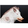 Image 2 : 19th Century Porcelain Figure of Boar
