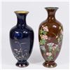 Image 1 : 2 Chinese Cloisonné Vases