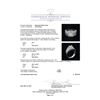 Image 5 : 2.98 ctw Diamond Ring - 14KT White Gold