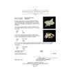 Image 5 : 2.00 ctw Diamond Ring - 14KT Yellow Gold