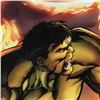 Image 2 : Incredible Hulk & The Human Torch: From the Marvel Vault #1