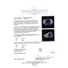Image 5 : GIA Cert 18.52 ctw Tanzanite and Diamond Ring - 14KT White Gold