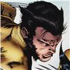 Image 2 : X-Men Evolutions #1