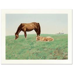 Mare and Foal