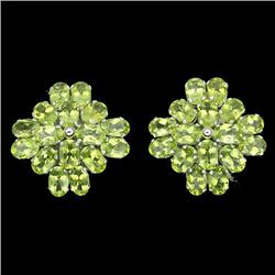 Natural Peridot 46 carats Earrings