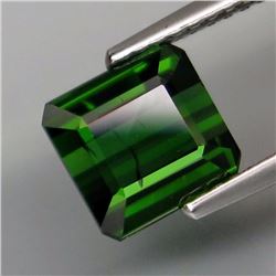 Natural Top Green Tourmaline 2.47 Cts