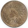 Image 1 : 1875 Indian Head Cent.