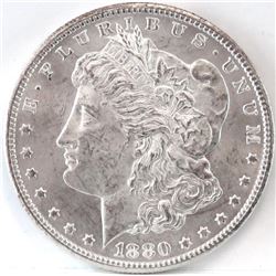 1880 CC Morgan Dollar - VAM 7 - 8/7 Dash.