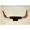 Image 1 : SET OF STEER HORNS