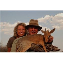 Damara Dik-Dik and Eland