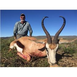 SOUTH AFRICAN NYALA AND SPRINGBOK SLAM