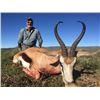 Image 1 : SOUTH AFRICAN NYALA AND SPRINGBOK SLAM