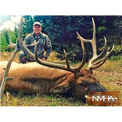New Mexico Archery Elk Hunt for 2x Hunters