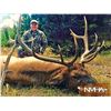 Image 1 : New Mexico Archery Elk Hunt for 2x Hunters