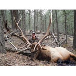 New Mexico Elk Hunt for 2x Hunters
