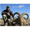 Image 1 : New Mexico Aoudad for 2x Hunters