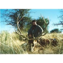 Argentina Red Stag Hunt for One Hunter