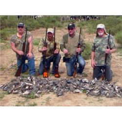 Argentina L & S Hunting High Volume Dove Hunt for6 Hunters
