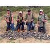 Image 1 : Argentina L & S Hunting High Volume Dove Hunt for6 Hunters