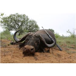 Mozambique Safari for 2 Hunters-Cancelled