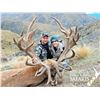 Image 1 : New Zealand Red Stag Plus Additional Animals  1 to 4 Hunters $1500 credit per hunter ($6000 for 4 hu