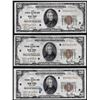 Image 1 : Lot of (3) 1929 $20 Federal Reserve Bank of New York National Currency Notes