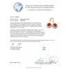 Image 3 : 14KT Yellow Gold 15.16ctw Ruby and Diamond Earrings