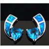 Image 1 : Stunning Fire Opal & Swiss Topaz Heart Earring