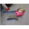 Image 1 : Homelite Gas Leaf Blower