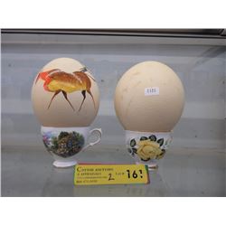 2 Australian Ostrich Eggs