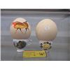 Image 1 : 2 Australian Ostrich Eggs