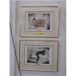 2 Willem S. De Beer Duck Prints