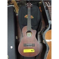 New Kala Ukulele with Electric Pickup