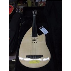 New Godin Mandolin with Fitted Hard Case