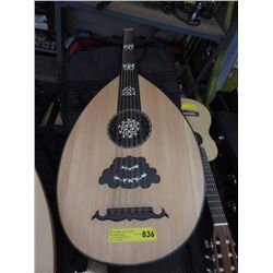New Mandolin with Soft Case