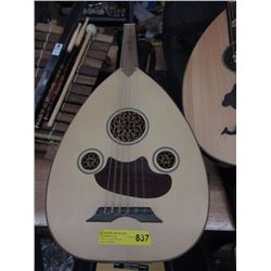 New Mandolin with Soft Case