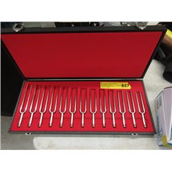 13 Tuning Forks in Fitted Case
