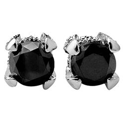 2.0 CTW Vs Certified Black & White Diamond Solitaire Stud Earrings 18K White Gold - REF-76M4F - 1185