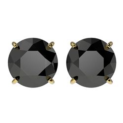 3.18 CTW Fancy Black VS Diamond Solitaire Stud Earrings 10K Yellow Gold - REF-80T9X - 36699