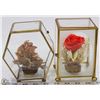 Image 1 : PAIR OF VINTAGE NATURAL FLOWER DISPLAYS