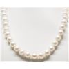 Image 1 : #32-FRESHWATER PEARL(12MM)NECKLACE WITH