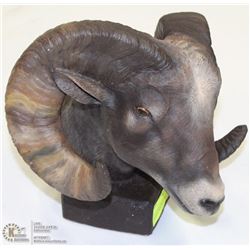 LTD ED RAMS HEAD SIGNED BY AMIK B. MOUGEOT #50/750