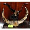 Image 1 : ASIAN STYLE HORN CARVED EAGLE STATUE 15" X 14"
