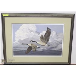 STORM CLOUDS- CANADA GEESE 221/950 BY MAYNARD