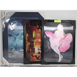 SET OF THREE 3D FRAMED PICTURES