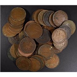 50- MIXED DATE CANADIAN LARGE CENTS
