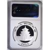 Image 4 : 2013 CHINA SILVER PANDA, NGC MS-70 EARLY RELEASES