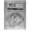 Image 4 : 2005 AMERICAN SILVER EAGLE, PCGS MS-70